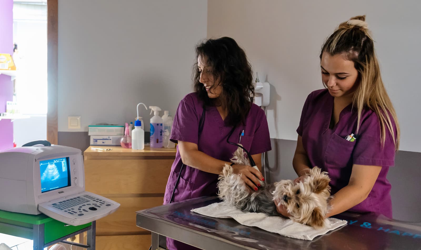 Centro Veterinario Imevet en Gondomar