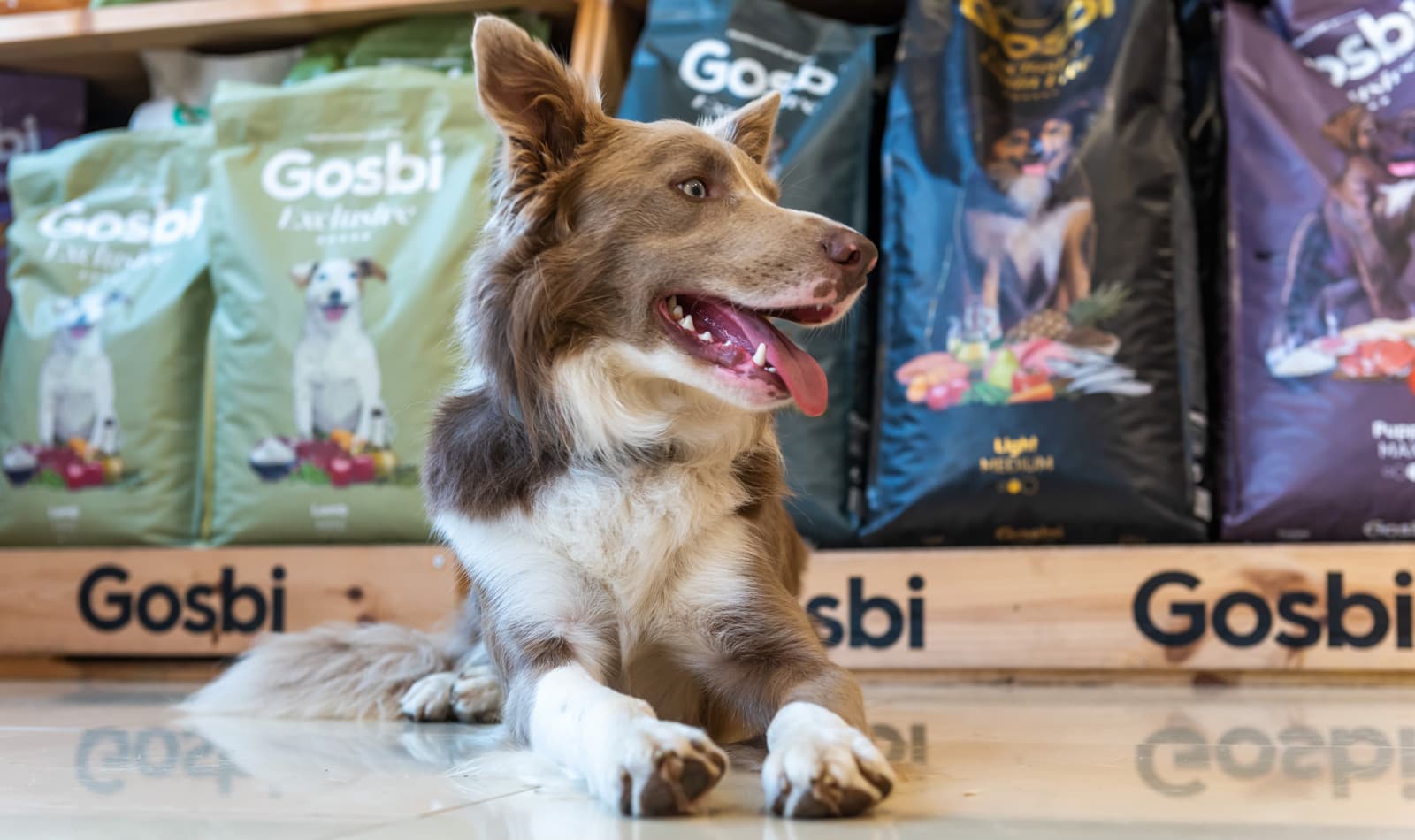 Centro Veterinario Imevet en Gondomar