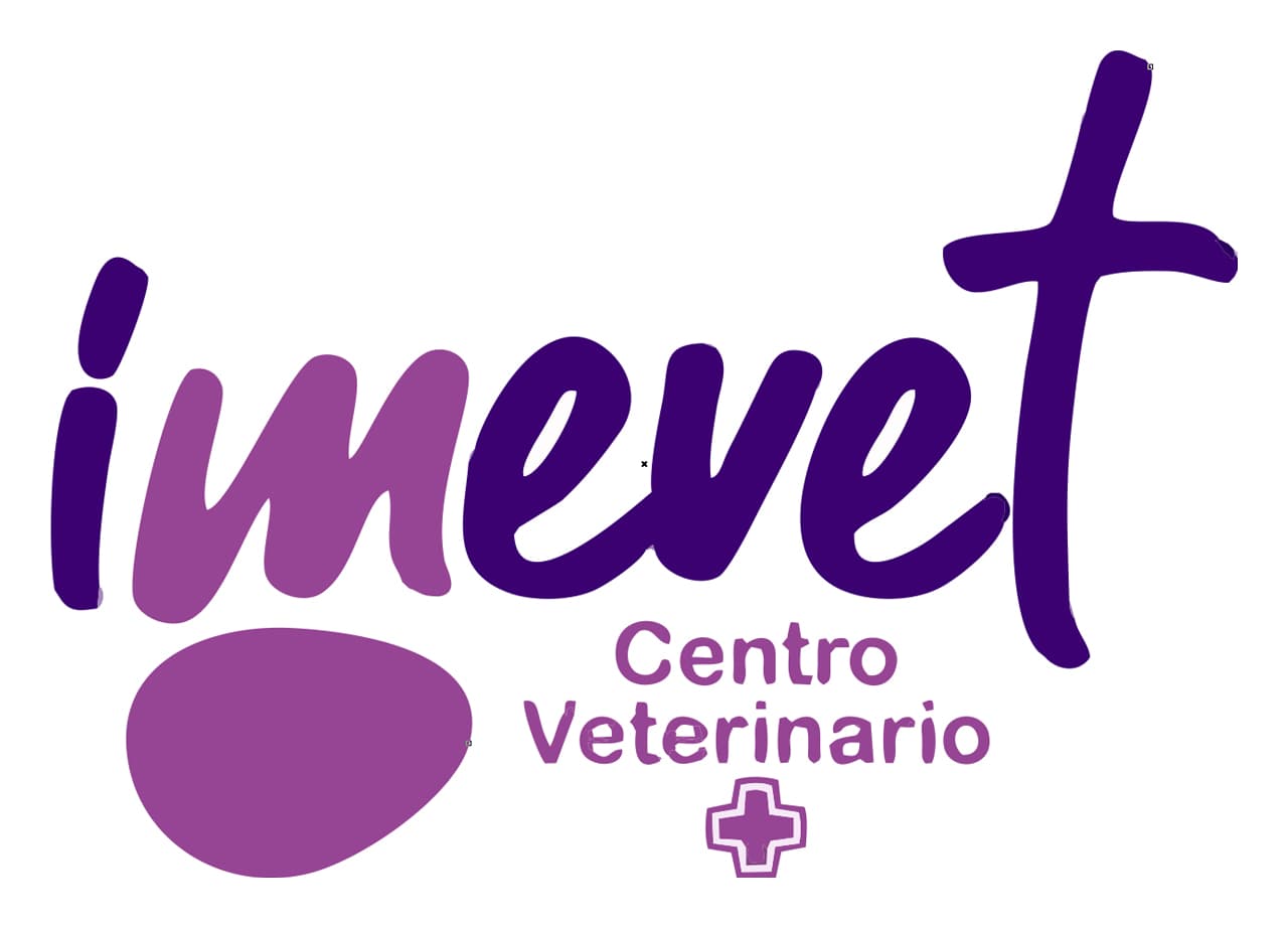 Imevet Centro Veterinario